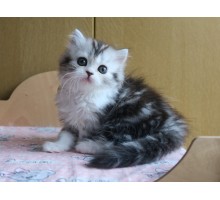 XANTY